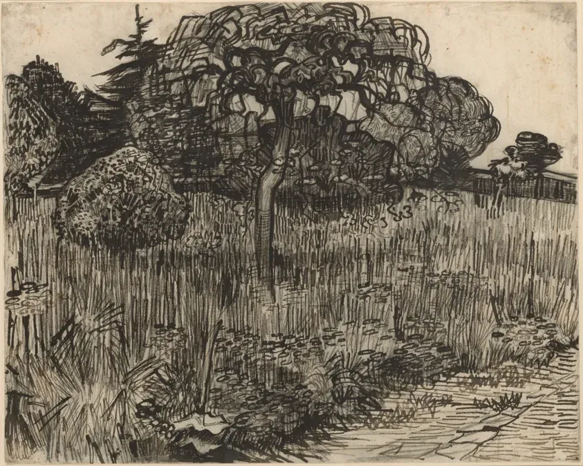 Weeping Tree, Vincent van Gogh